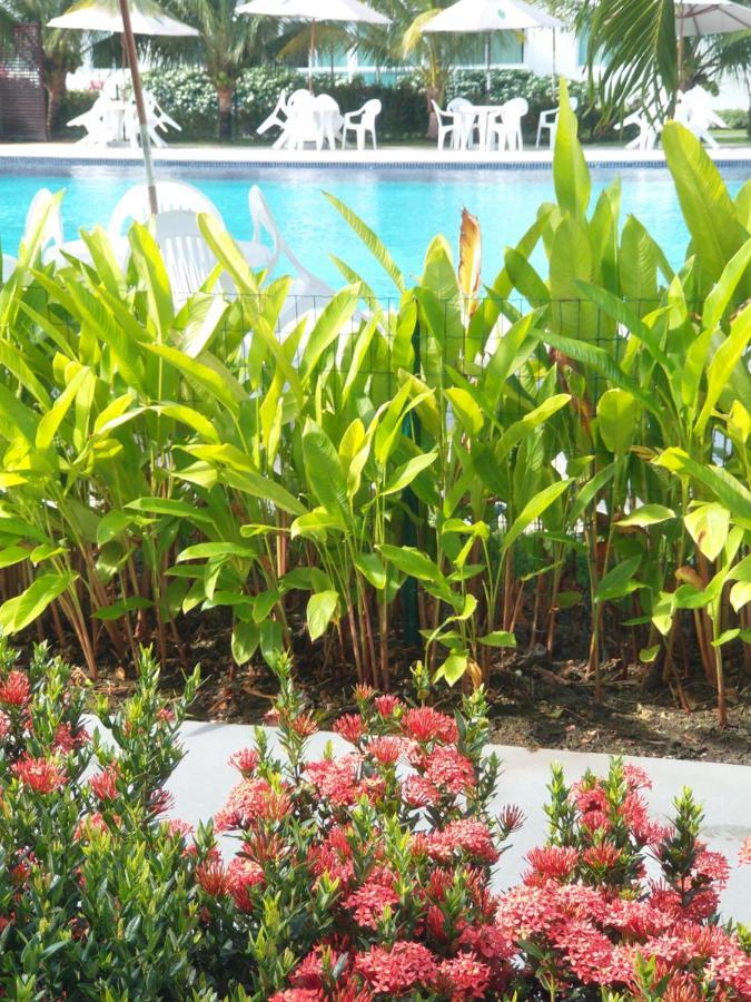 Apartment Palm Village Acqua - Premium - Em Frente A Piscina -