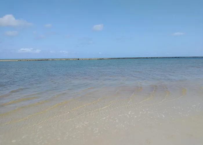 Palm Village Acqua - Apartamento Premium - Em Frente A Piscina - Porto De Galinhas